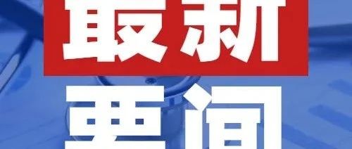 洞郎最新动态，进展、影响及未来展望