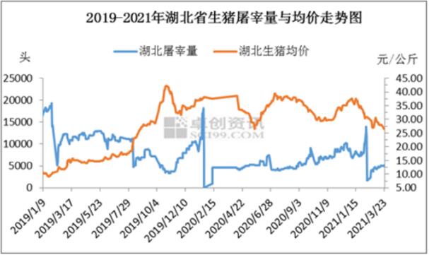 湖北宜昌最新猪价走势分析