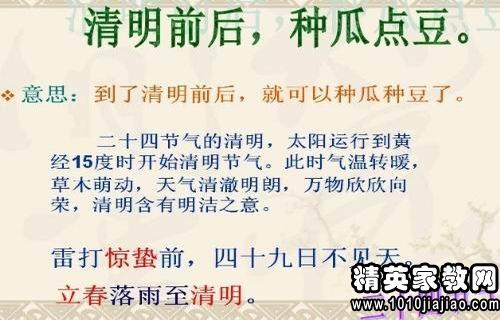 澳门正版资料大全免费歇后语,歇后语不仅仅是语言的艺术