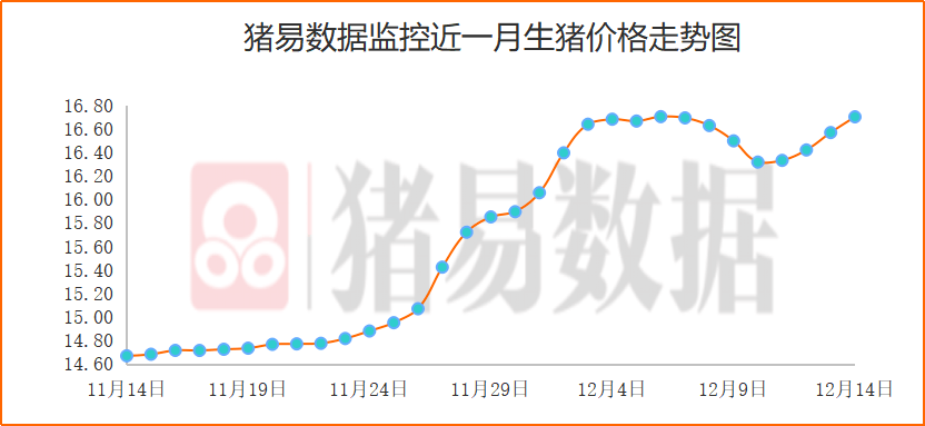 7777788888精准玄机,确保您在任何地方都能享受到高速的网络连接