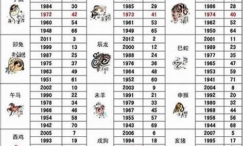 十二生肖49码表,十二生肖49码表能够根据用户的生辰八字