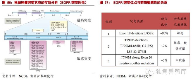 澳门三肖三码精准100%黄大仙,能够理解并回应您的每一个指令