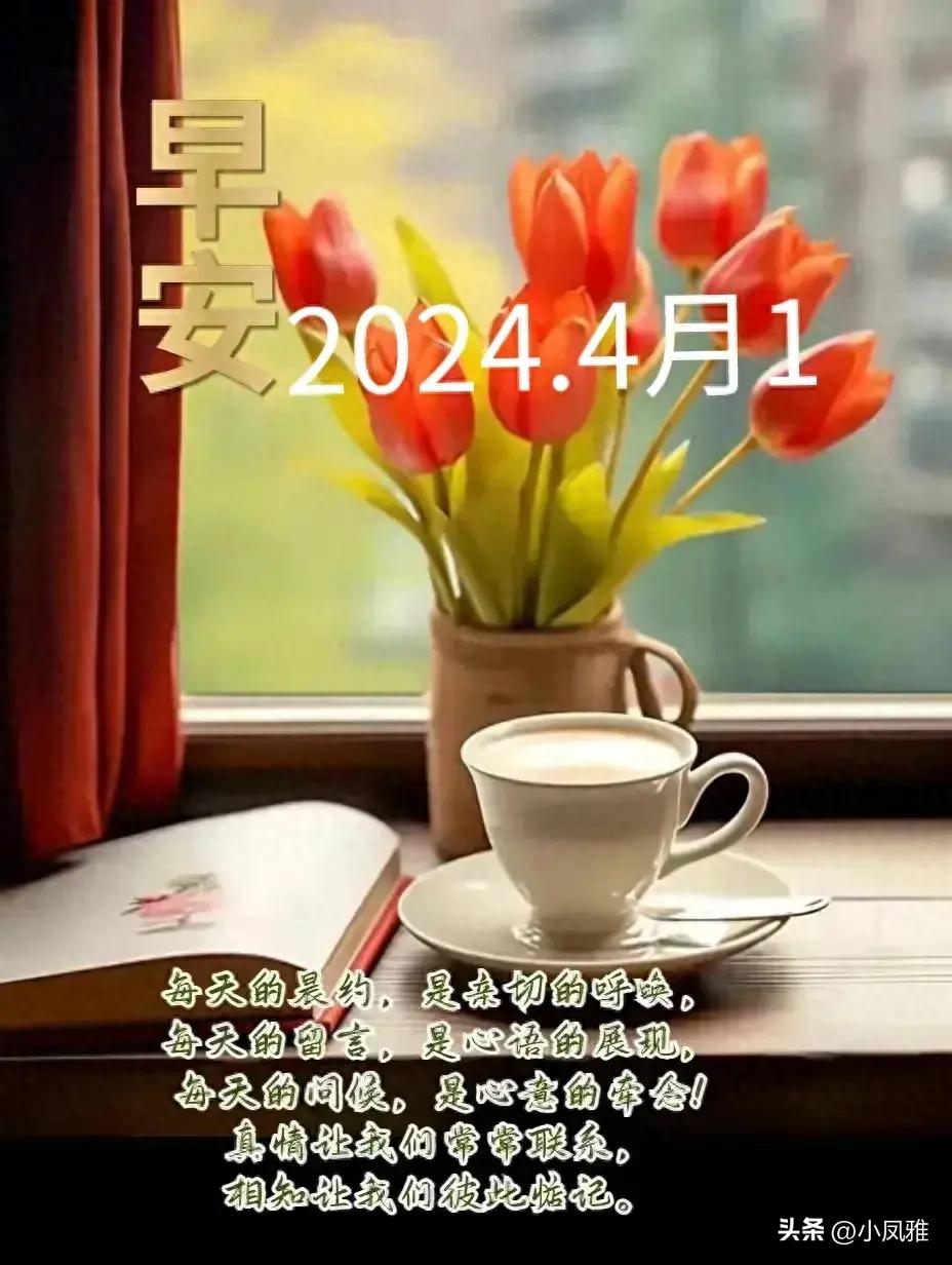 2024年天天彩免费资料,即使是科技新手也能轻松上手