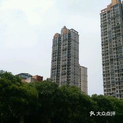 百乐和园二期最新价格走势揭秘