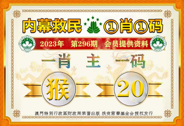 2024正版新奥管家婆澳门,猫咪拆纱布_王者版5.136