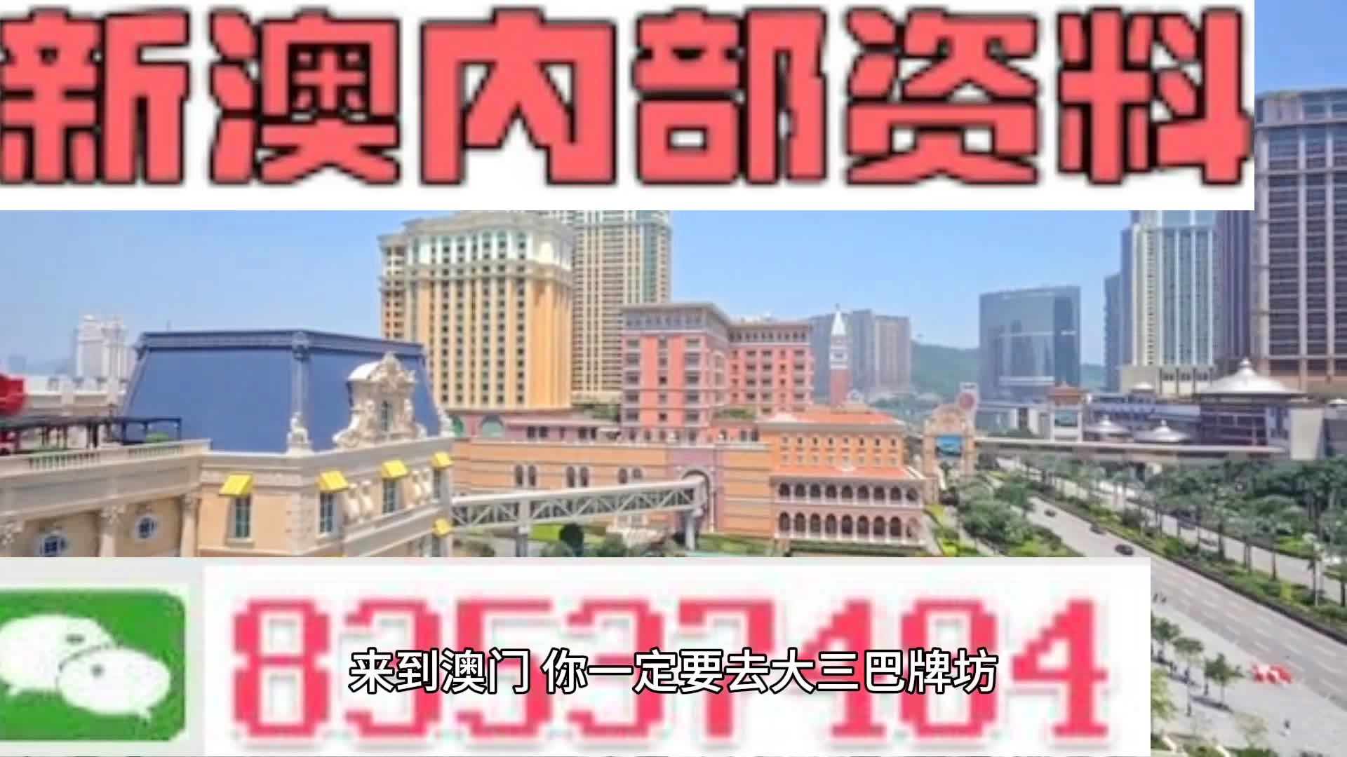 2024年新澳门天天开好彩大全,陕师大特色专业,_领航版9.201