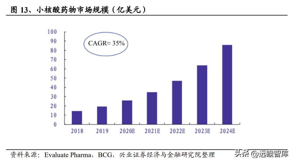 2024又要开始做核酸了,cis战队成员_人教版v6.2.11