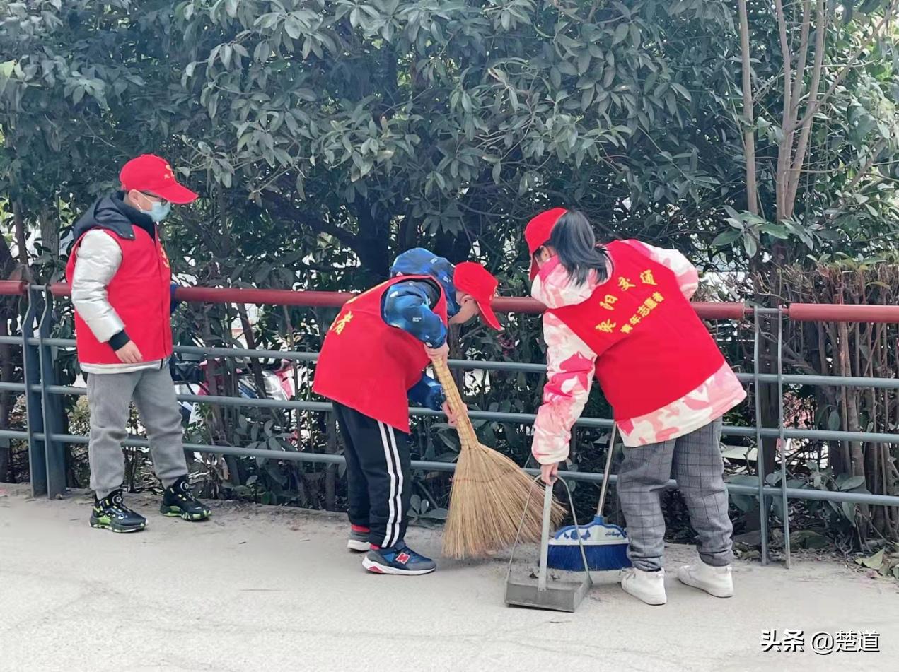 枣阳万象城房价动态及市场走势与影响因素解析