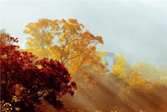 沐景颜容墨的魅力奇幻世界，最新更新揭秘！