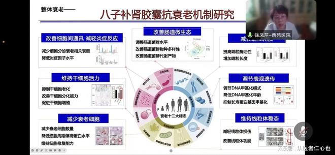 澳门精准正版资料大全长春老,系统化推进策略探讨_10DM44.806