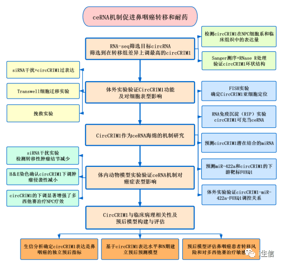 澳门最准最快的免费资料,前沿解析评估_zShop74.783