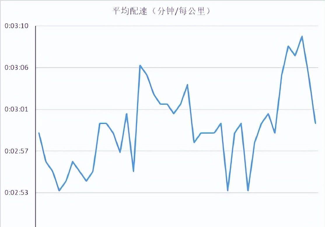 2024新奥历史开奖记录香港,实地数据评估解析_XE版93.26