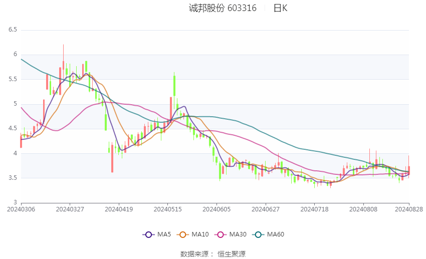 新澳2024天天正版资料大全,全面数据执行方案_视频版74.531