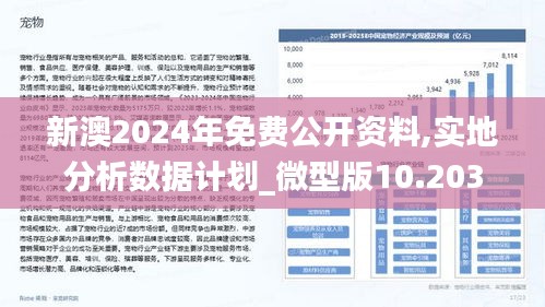 新澳2024年精准正版资料,收益分析说明_标准版64.761