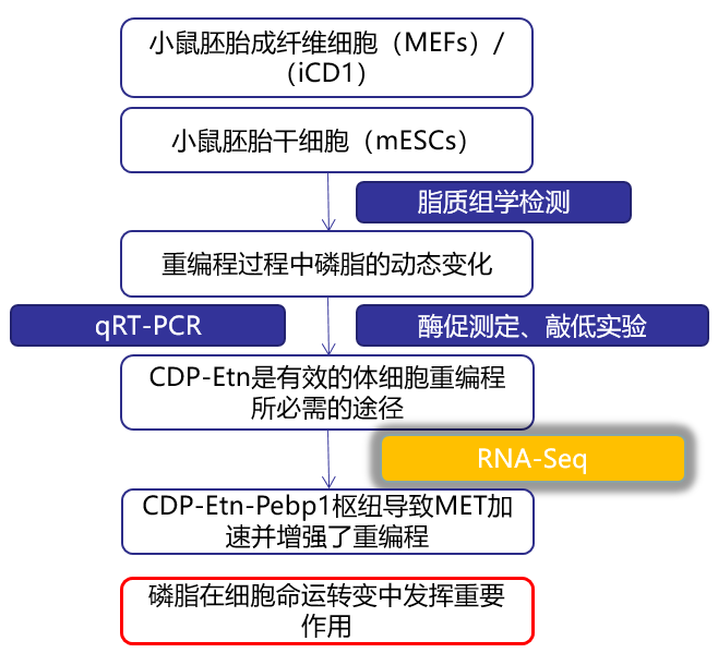 新奥精准资料免费提供彩吧助手,科学分析解析说明_Advance33.94