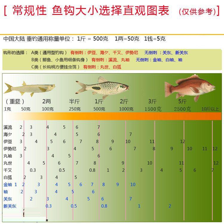 知识对决智慧，鱼饵与鱼竿背后的公务员考题挑战