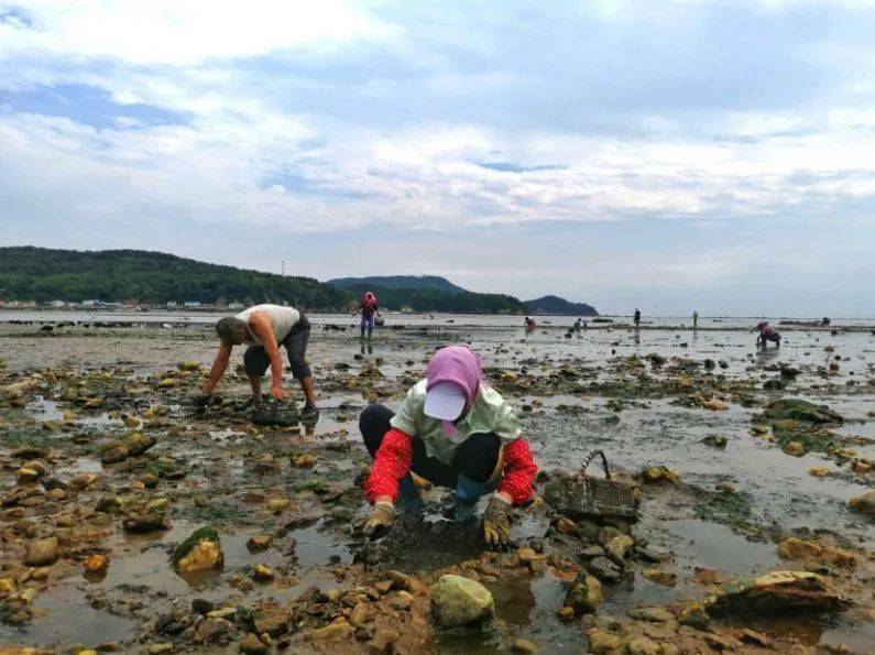 海边探险之旅，赶海的乐趣与无尽惊喜