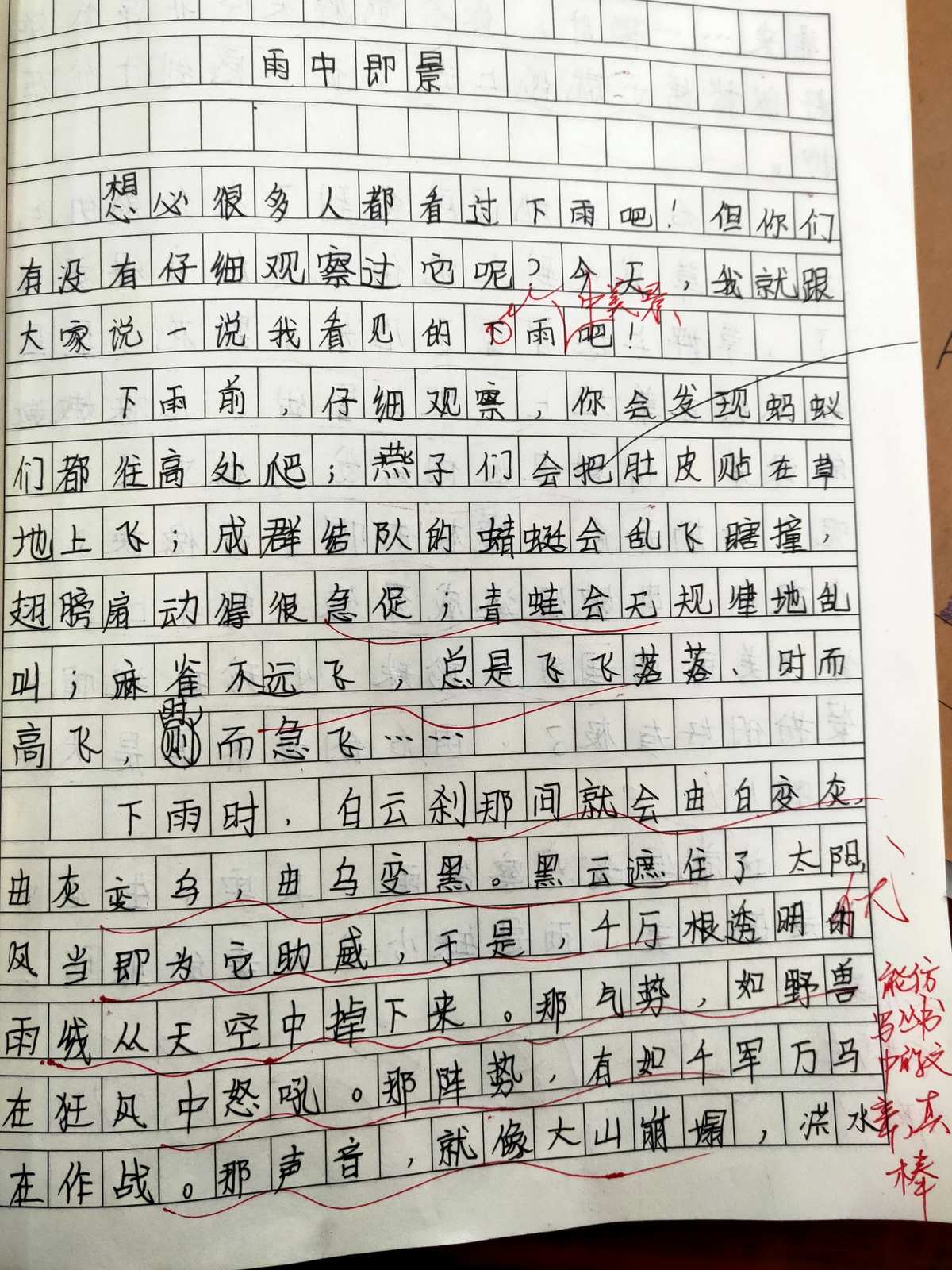 生动街景的描绘