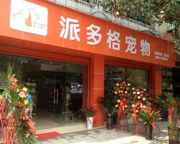 吉林市派多格宠物店的温馨乐园