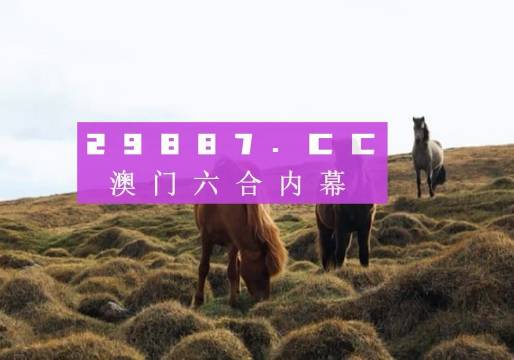 香港宝典王中王资料,连贯评估方法_专业版84.902