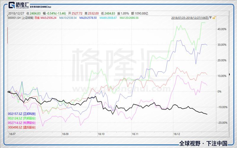 澳门王中王100的资料论坛,动态解析词汇_专业款26.67