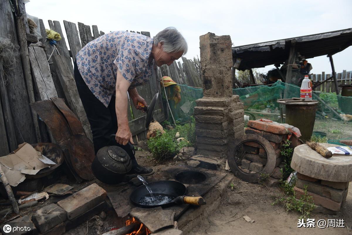 狗狗能否每天吃鸡蛋？——鸡蛋在狗狗饮食中的适宜摄入探究