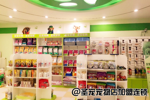 南口宠物店，人与宠物的温馨乐园