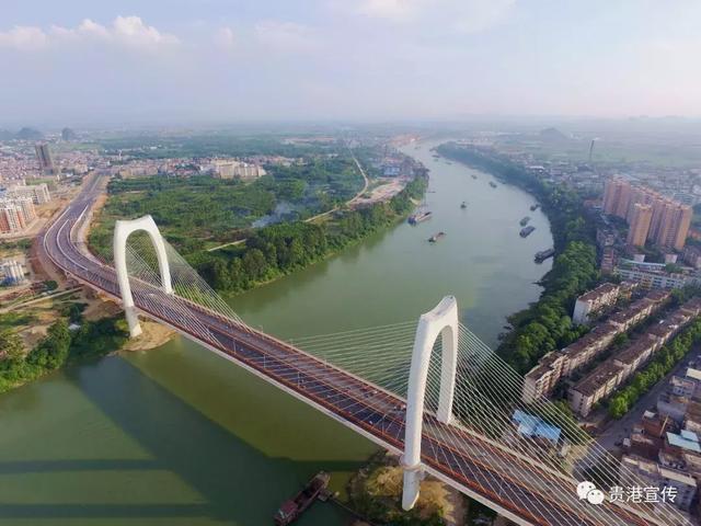 贵港市鲤鱼江流域招投标活动的影响分析