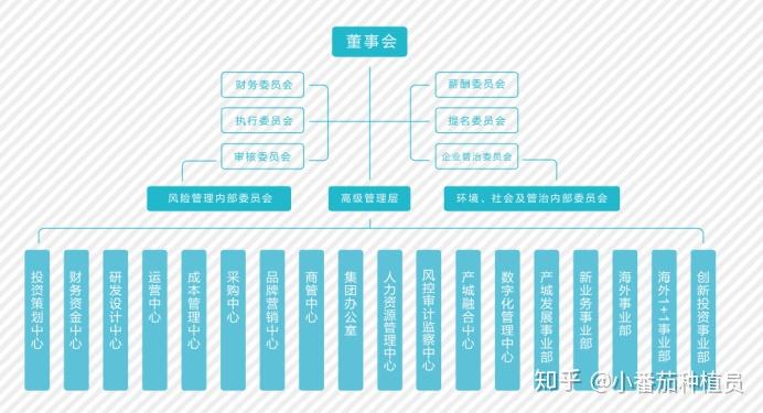 品牌公司组织架构，构建高效企业骨架之道