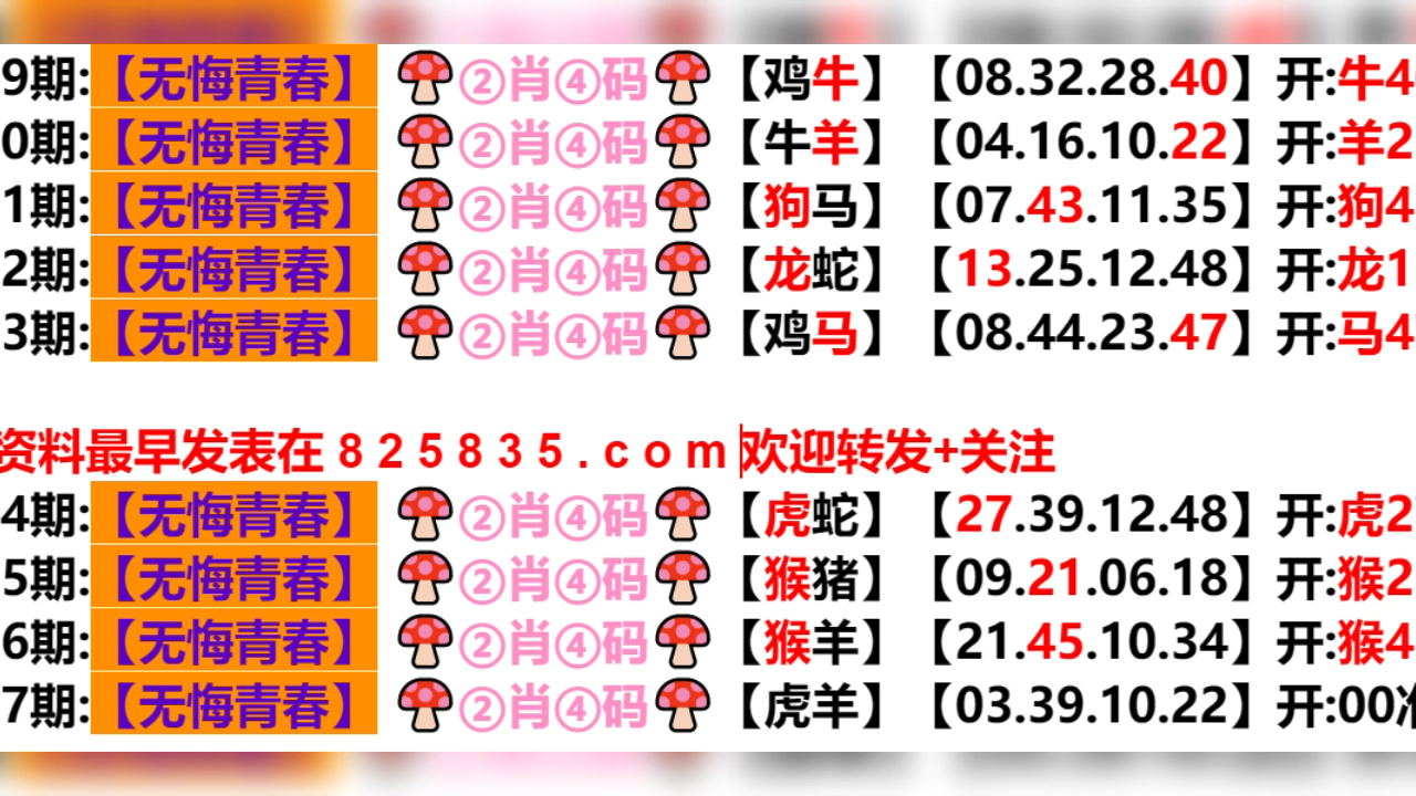 2025年1月6日 第28页