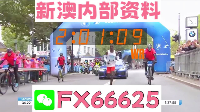 2024新澳免费资料大全精准版,功能性操作方案制定_XR89.380