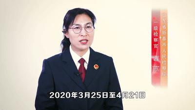 山东招投标网站的发展及其广泛影响