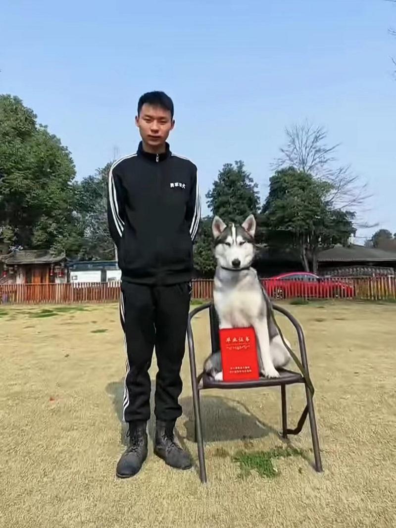 宠物训犬师，职业魅力与面临的挑战