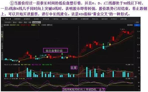 澳门码今晚开什么特马精准，前沿解答解释落实_yks39.63.36