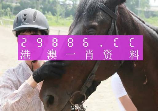 澳门必中一肖一码，时代解答解释落实_mpd03.43.80