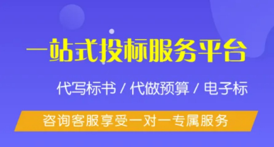 招投标类公司运营策略与发展路径深度探讨