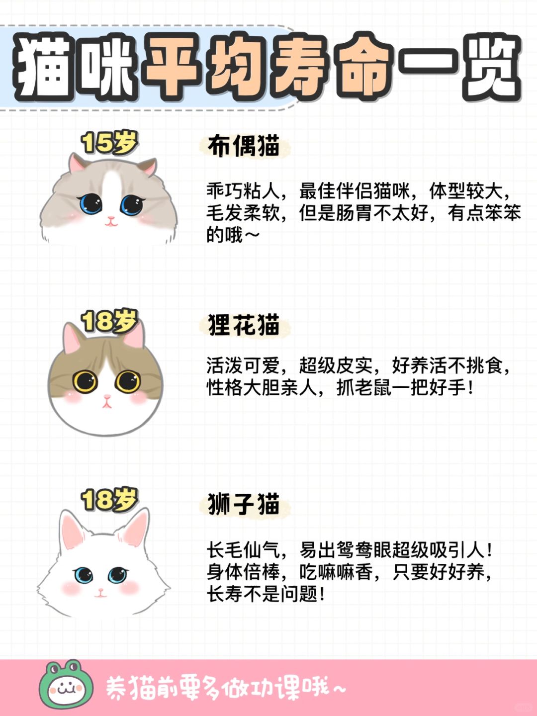 宠物猫寿命解析，了解、照顾与珍视每一刻陪伴的时光