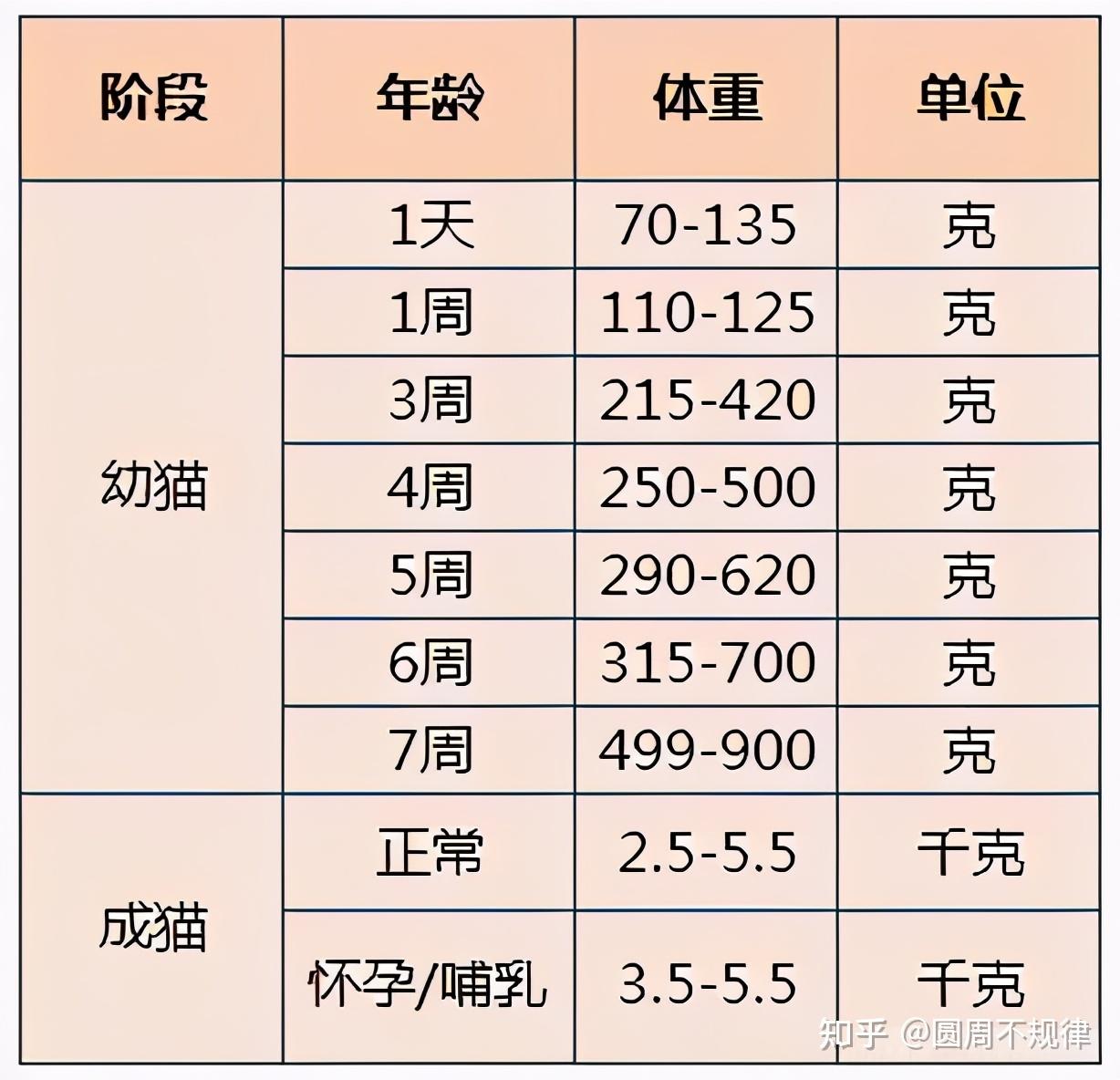 猫咪各阶段体重标准详解与解析