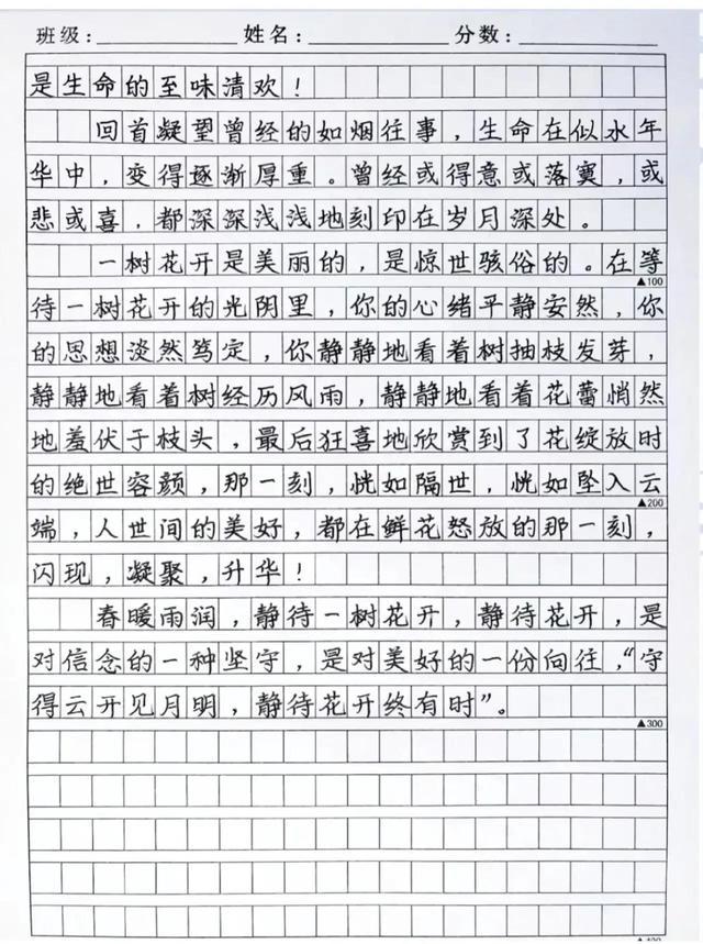 中考满分作文400字，探索与超越的旅程