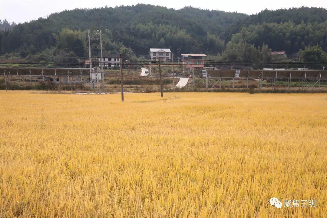 福建工程招投标流程实践及未来展望