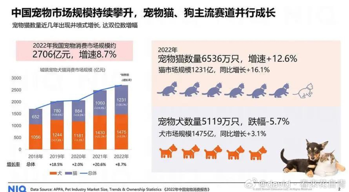 宠物业下滑现象深度探究