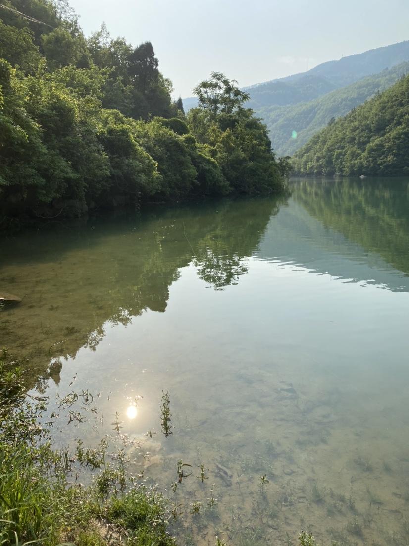 路亚适应，探索与实践的和谐融合