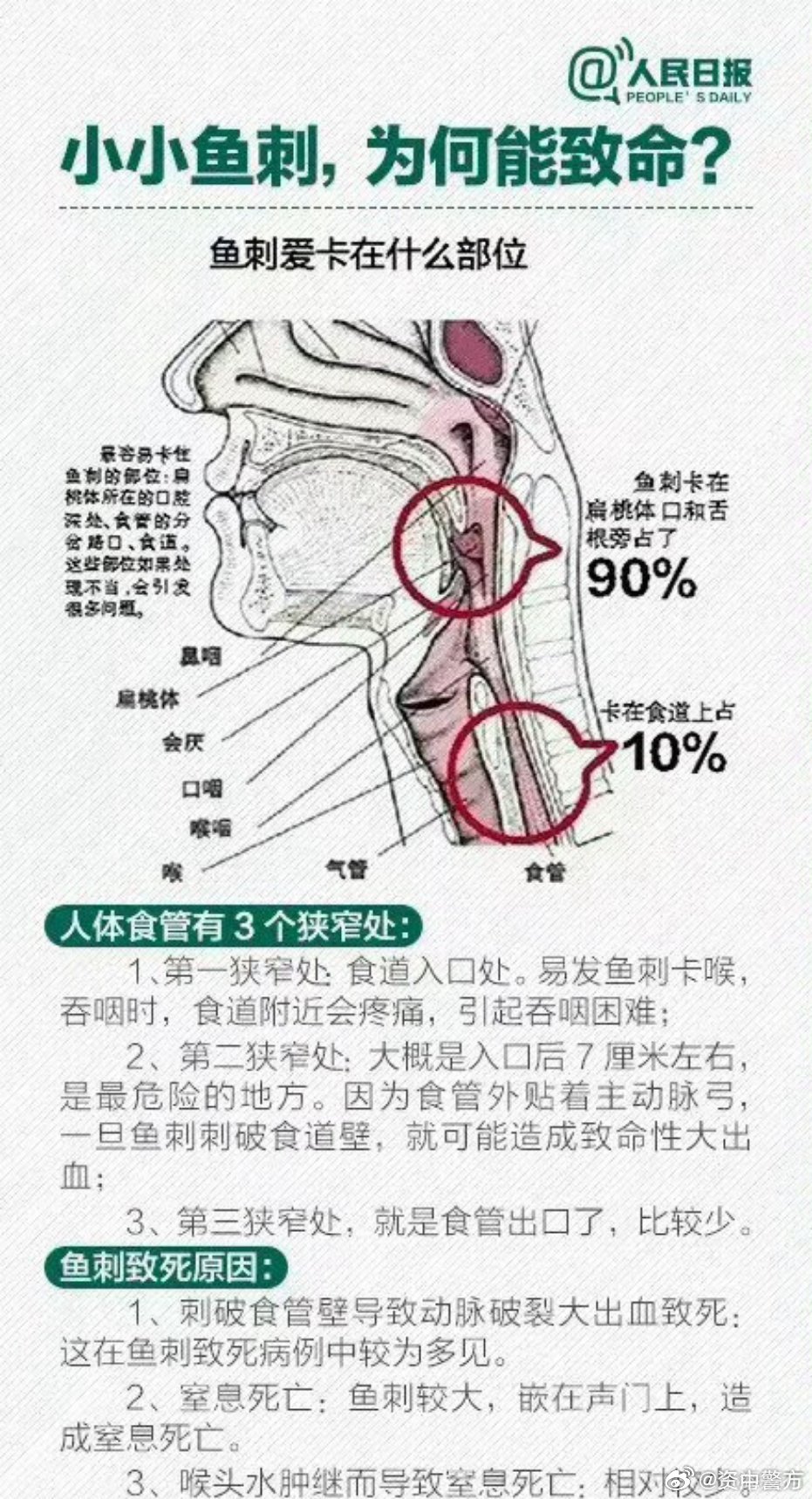 生活小妙招，轻松解决鱼刺困扰的小技巧