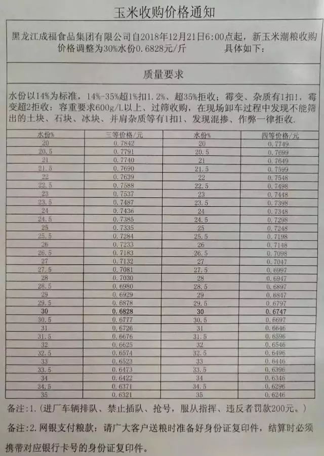 济南玉米价格动态解析与趋势分析