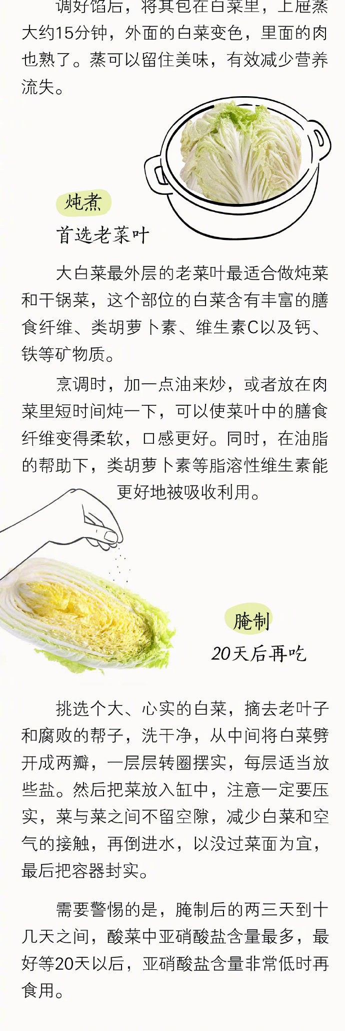 揭秘白菜全方位应用的小妙招，生活实用指南