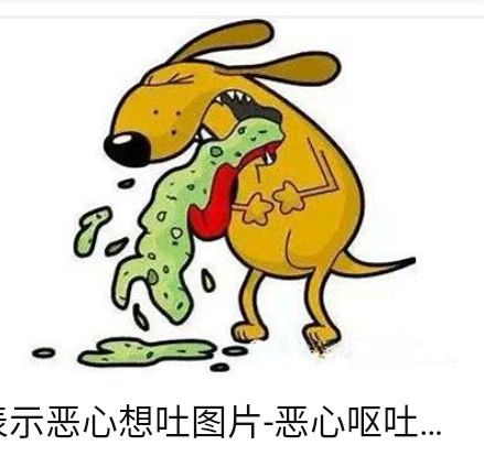 搞笑呕吐生活小妙招，让生活乐趣倍增的小技巧