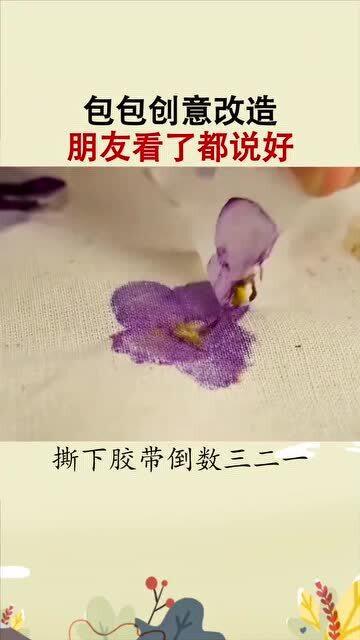 生活小妙招与白小兔的奇幻世界探索